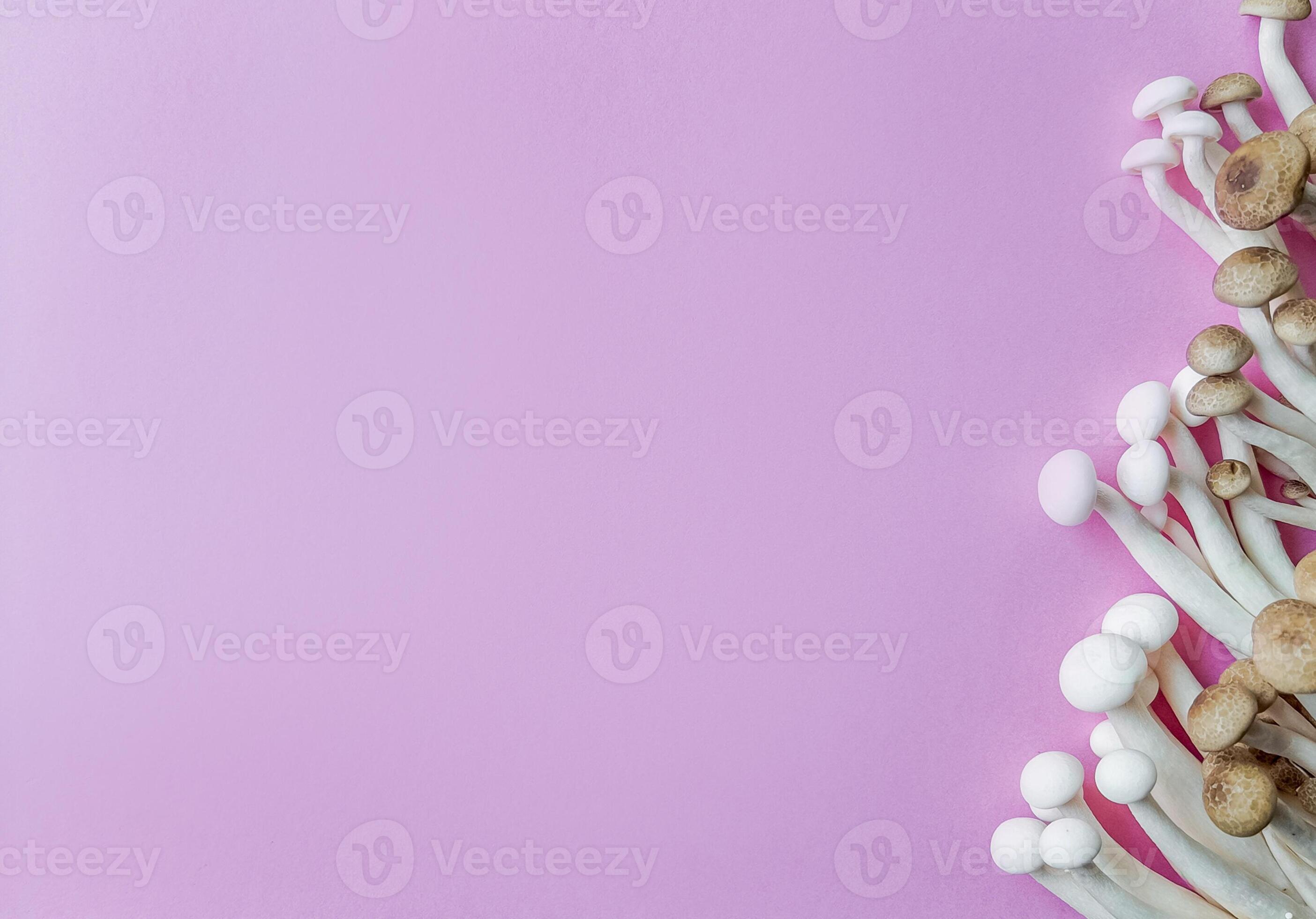 Culinary Perfect Enoki and Shimeji Mushrooms Background 42517810 Stock Photo at Vecteezy
