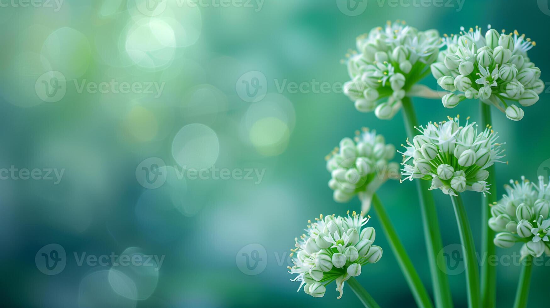 AI generated A detailed close up of wild leek plant with identifiable features, isolated on a gradient background photo