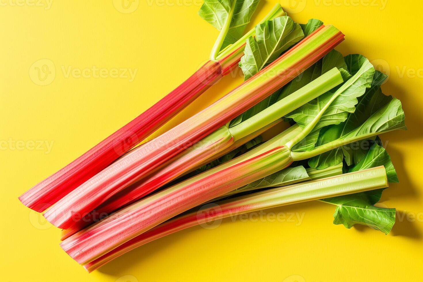 AI generated Freshly harvested rhubarb stalks, isolated on a gradient background, depicting the rhubarb cultivation process photo