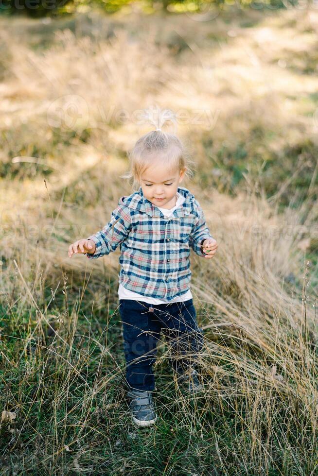 Little girl walks through the tall grass, looking down at her feet photo