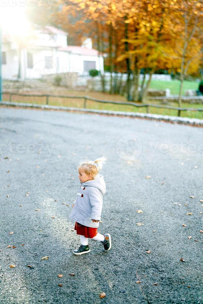 Little girl walks along the road in the autumn park. Side view photo