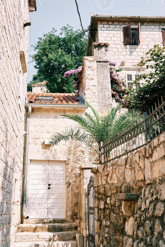 Stone steps to the white wooden door of an ancient house with a green garden photo