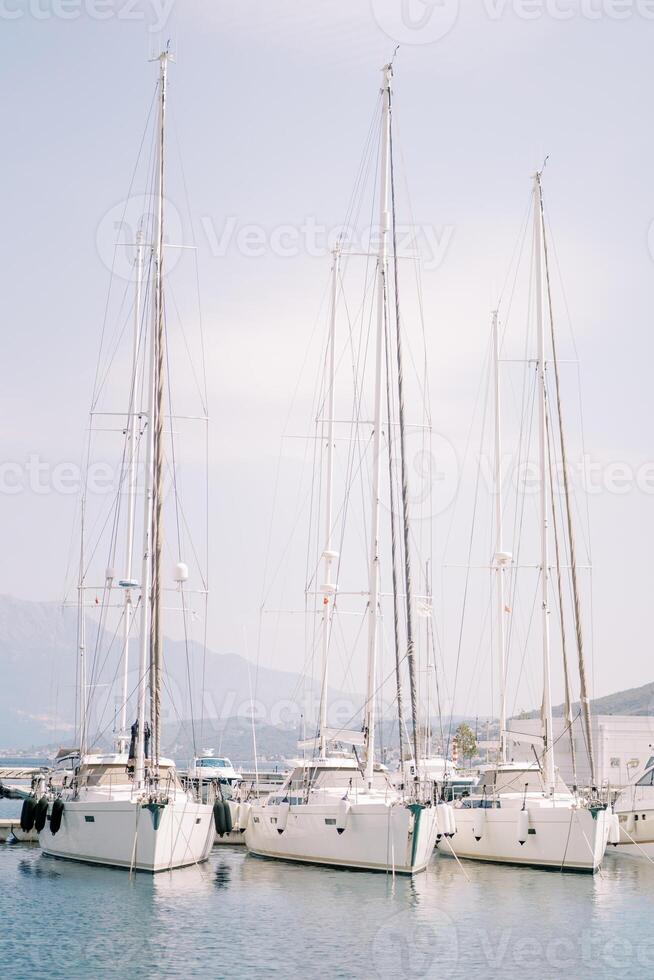 navegación yates son amarrado en un fila en el Puerto foto