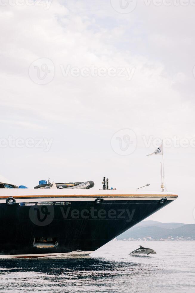 Dolphin swims in the sea near the bow of a ship against the backdrop of mountains photo