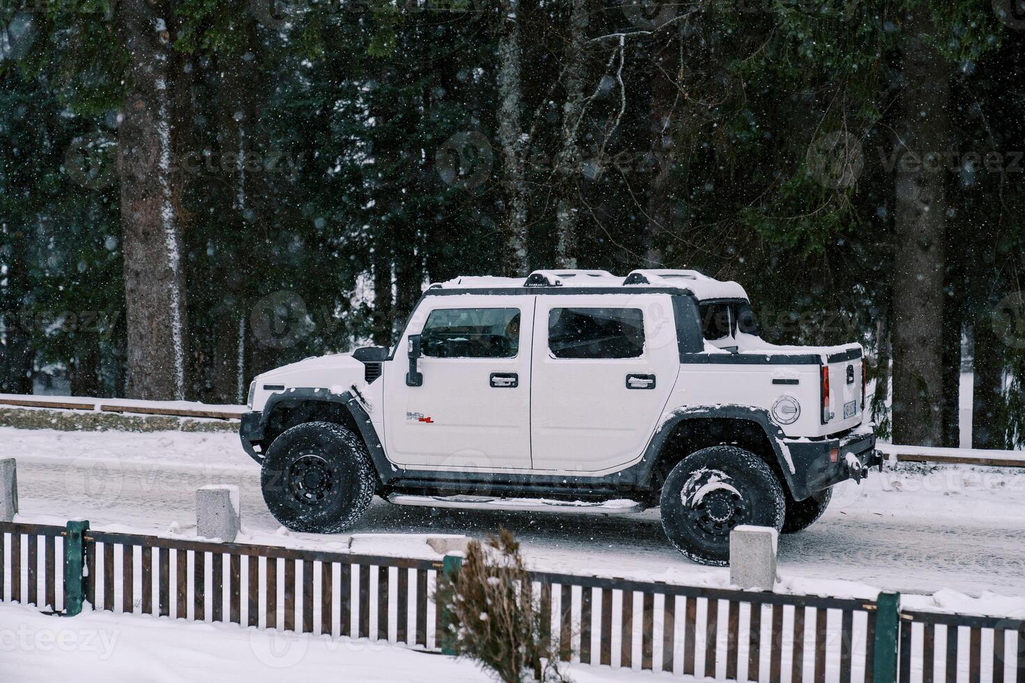 White Hummer H2 pickup truck drives under snowfall along a snow-covered road along a coniferous forest. Side view photo
