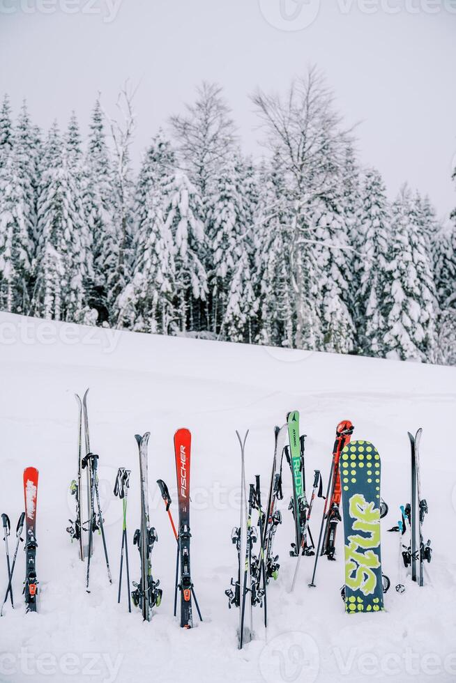 Colorful snowboards and skis stand stuck in the snow at the edge of the forest photo