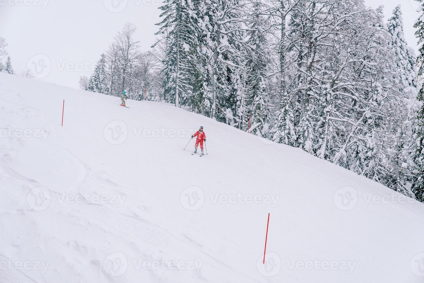 Skiers go down the ski slope with red posts photo