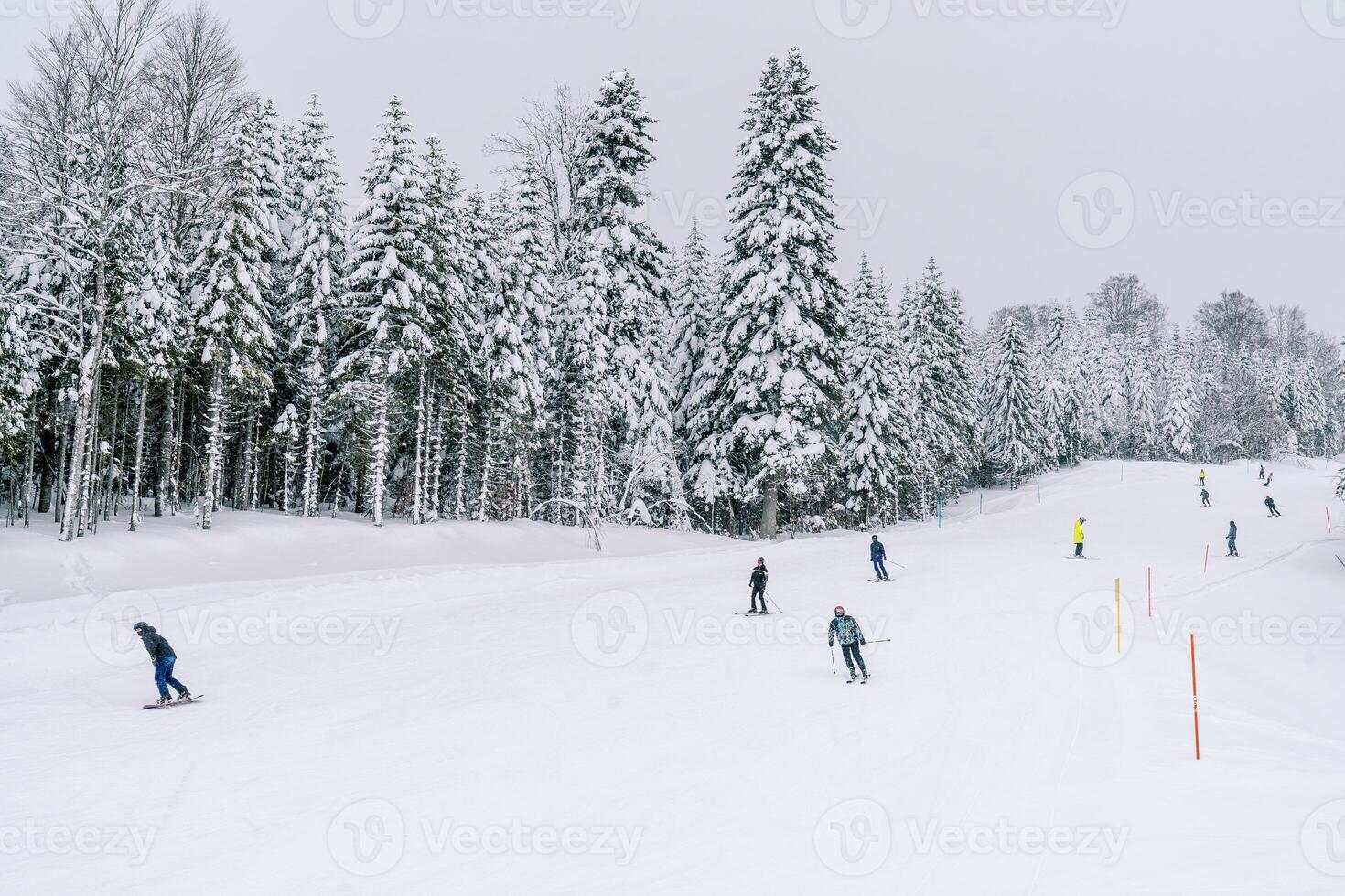 esquiadores y practicantes de snowboard descender el amable nieve Pendiente a lo largo el borde de el bosque foto