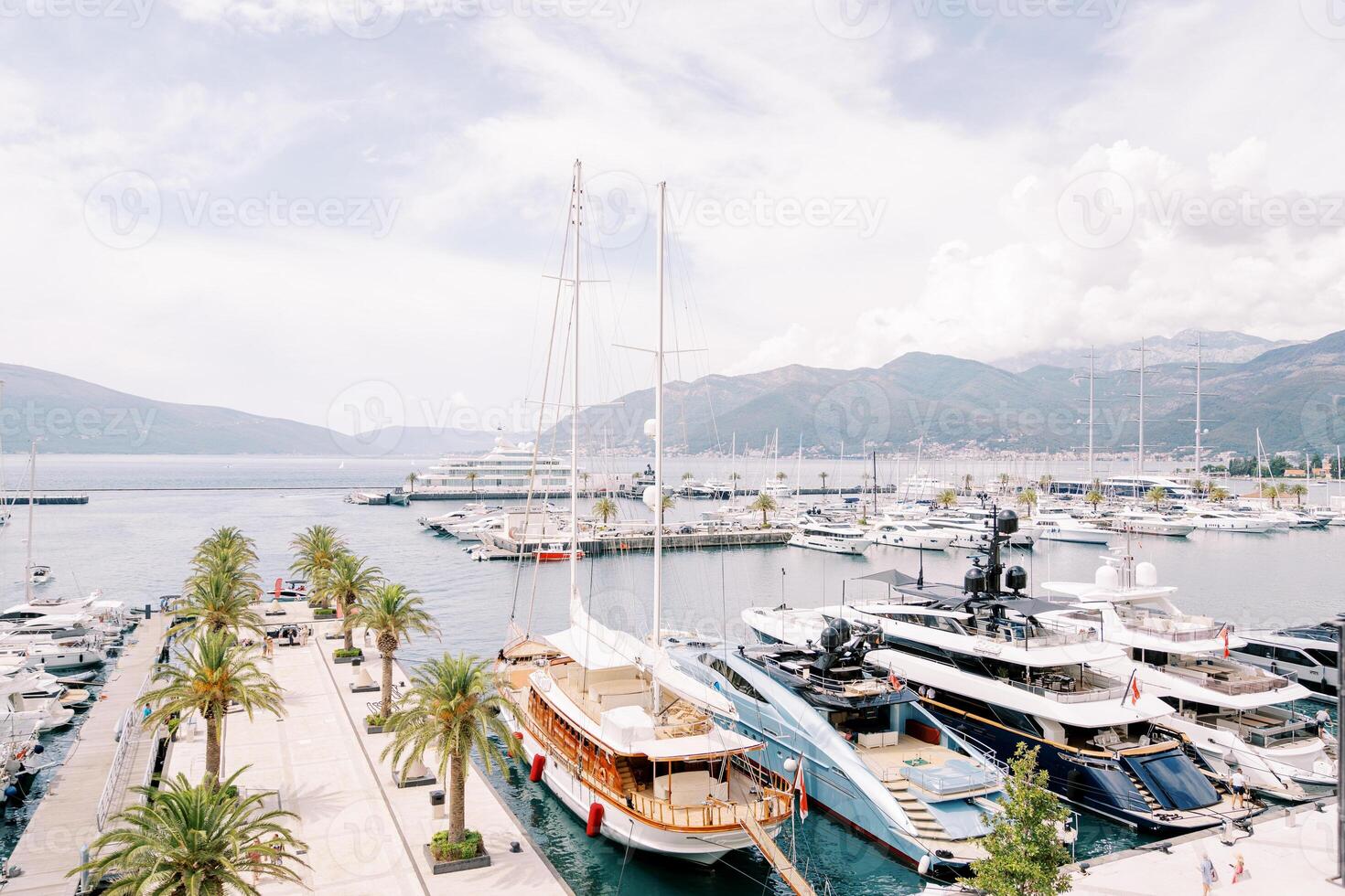 Luxury sailing and motor yachts line the palm-lined piers of the luxury marina photo