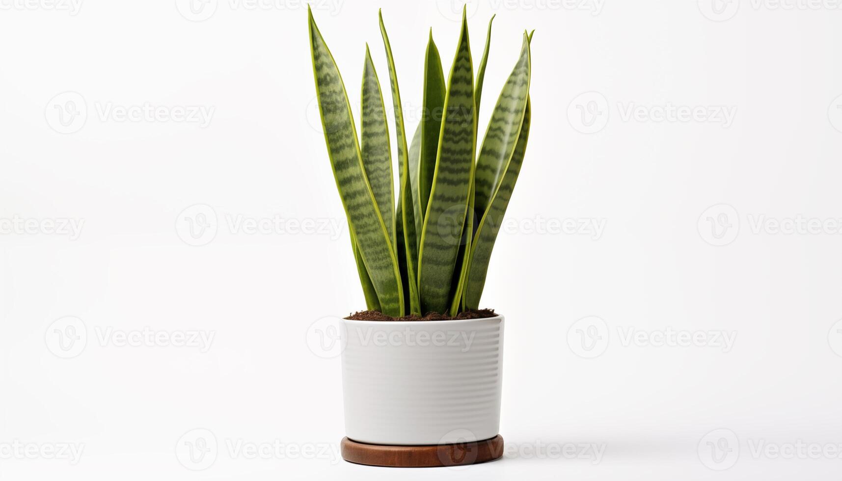 ai generado un serpiente planta sansevieria aislado, blanco antecedentes foto