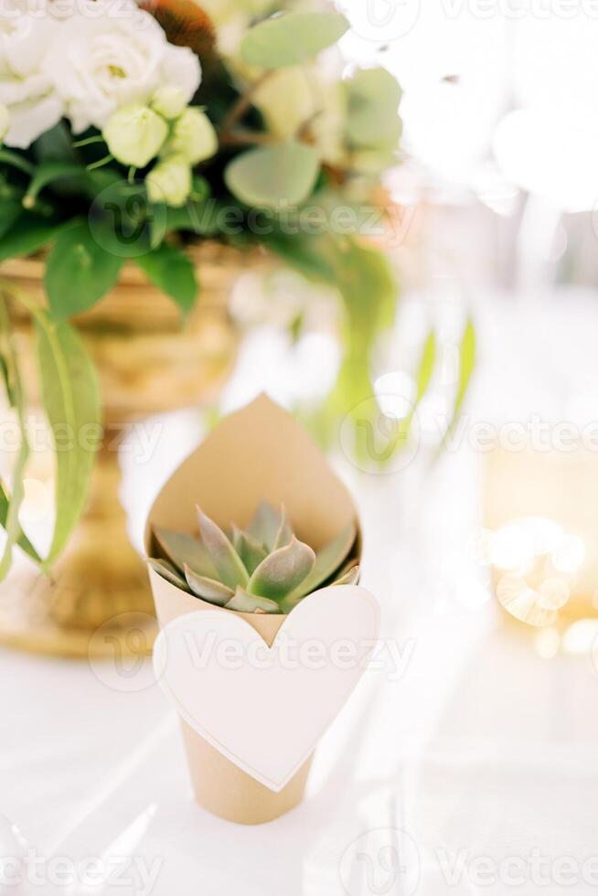Invitation echeveria in a paper cup with a heart stands on a set holiday table photo