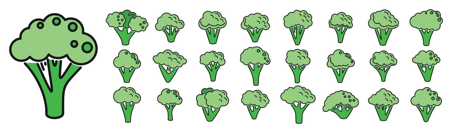 Broccoli icons set vector color line