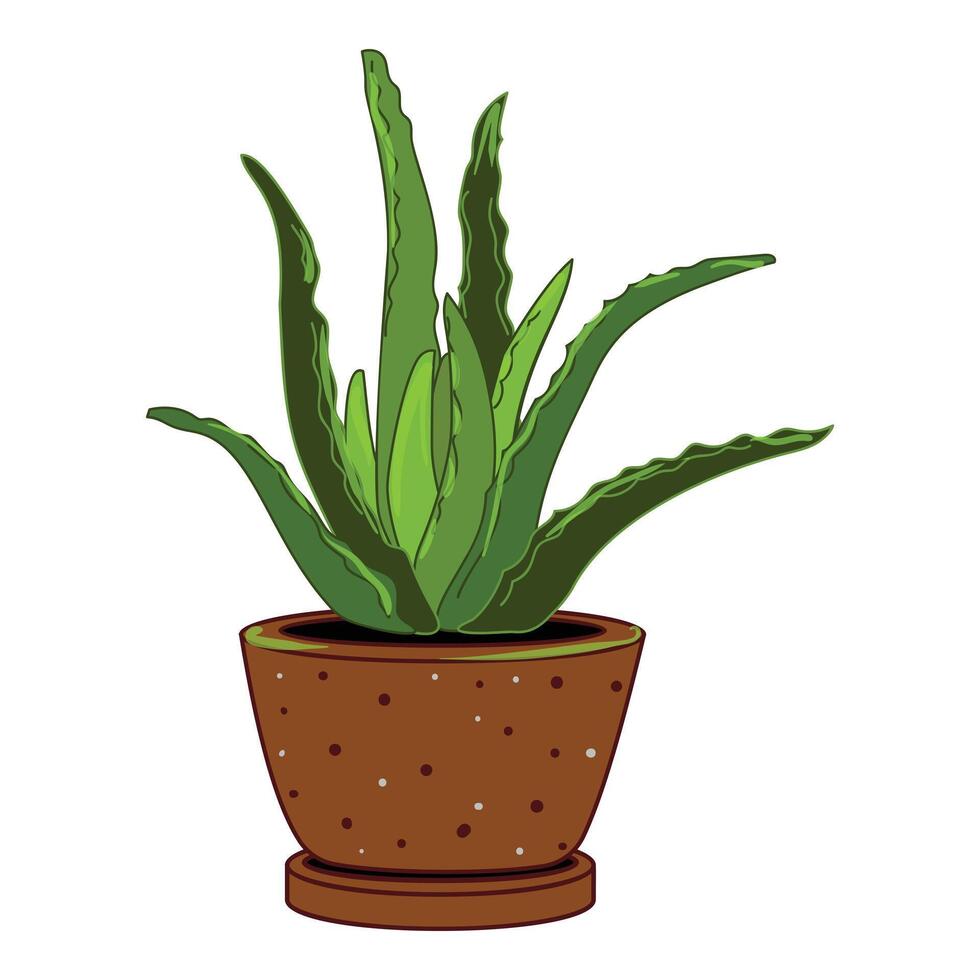 Succulent flower pot icon cartoon vector. Arid desert exotic vector