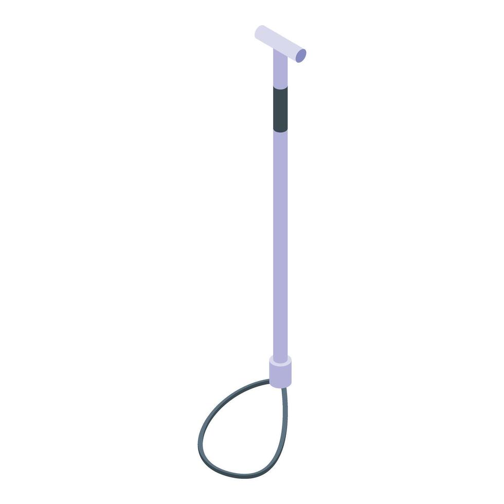 Pig farm catch stick tool icon isometric vector. Country farm vector