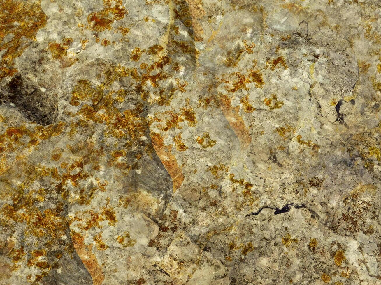 Outdoor stone texture photo