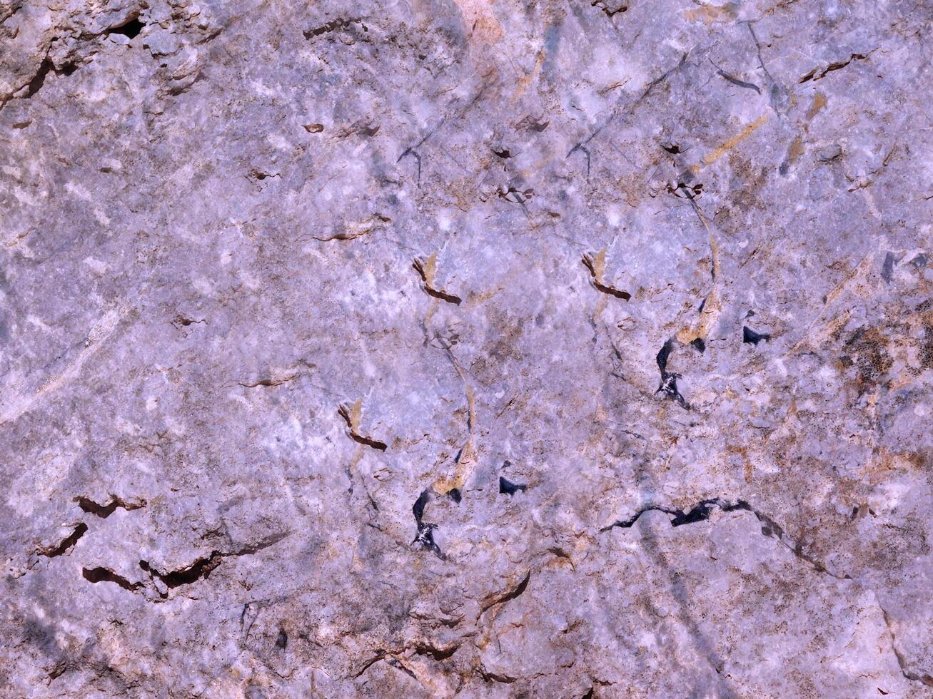 Outdoor stone texture photo