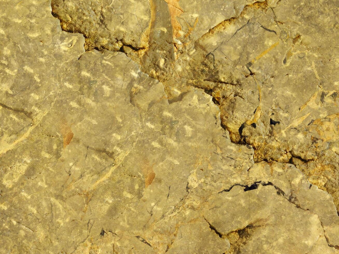Outdoor stone texture photo