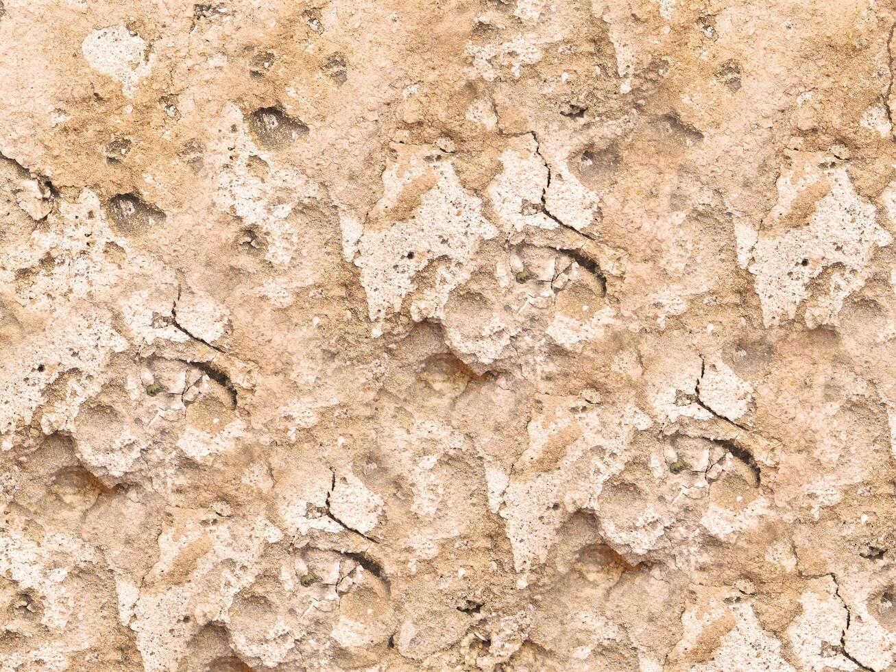 Outdoor stone texture photo