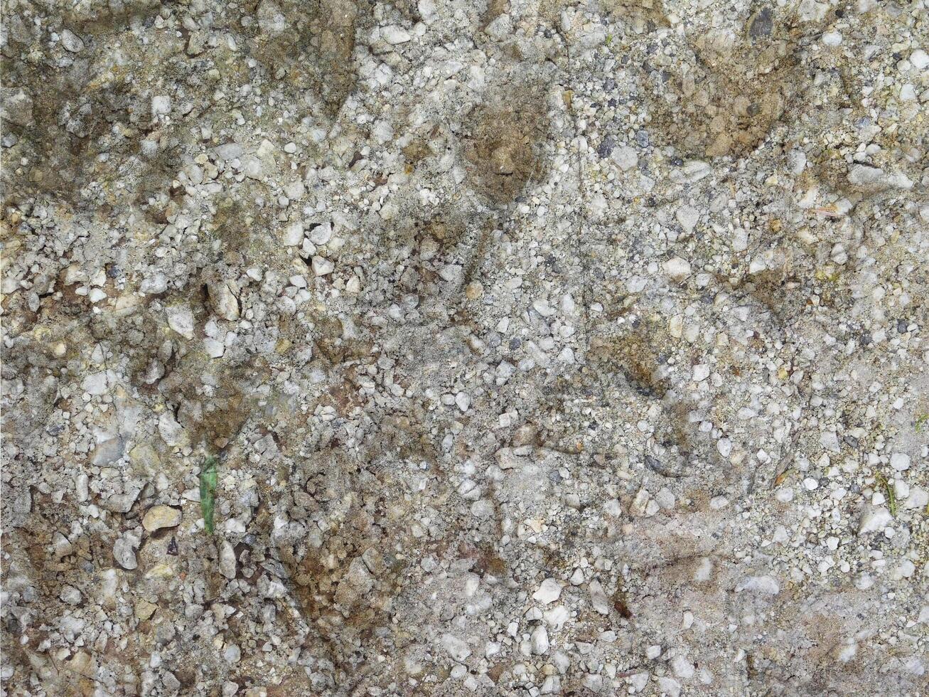 Outdoor stone texture photo