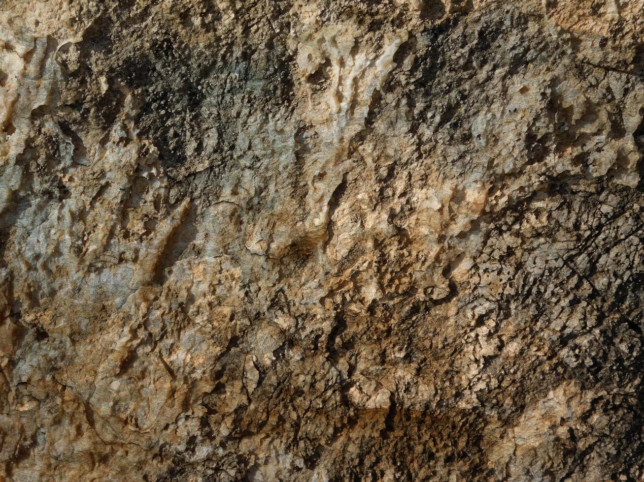 Outdoor stone texture photo