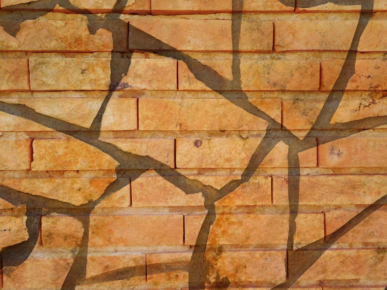 Outdoor stone texture photo