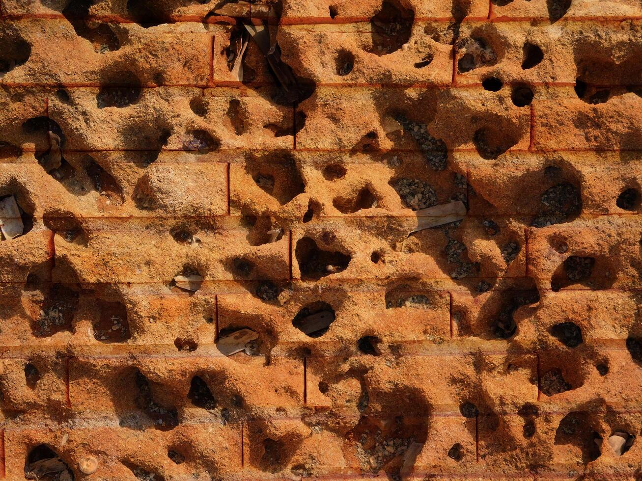 Outdoor stone texture photo