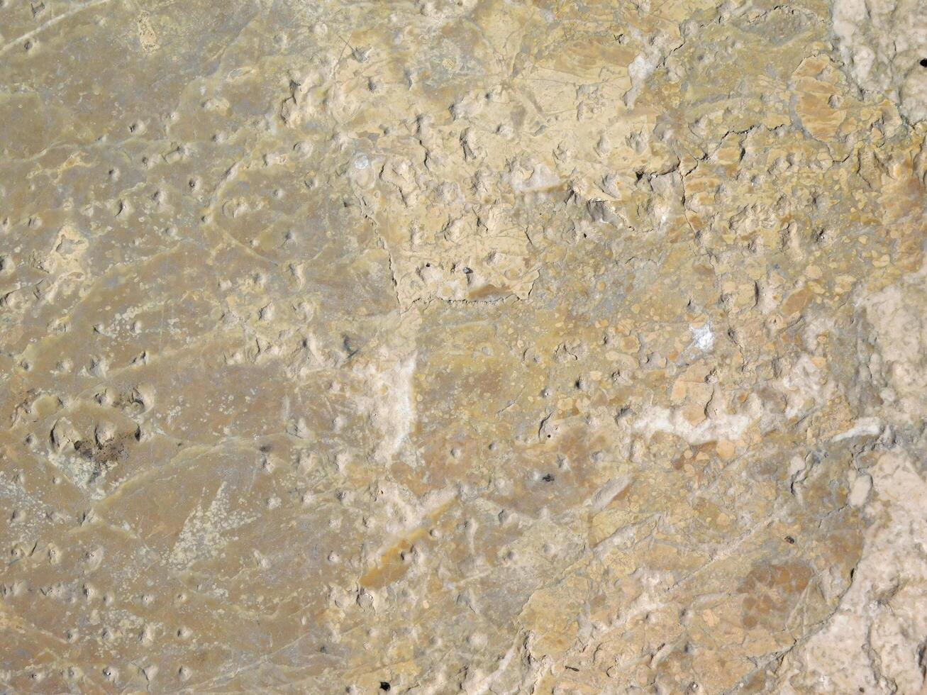 Stone Texture In The Garden photo