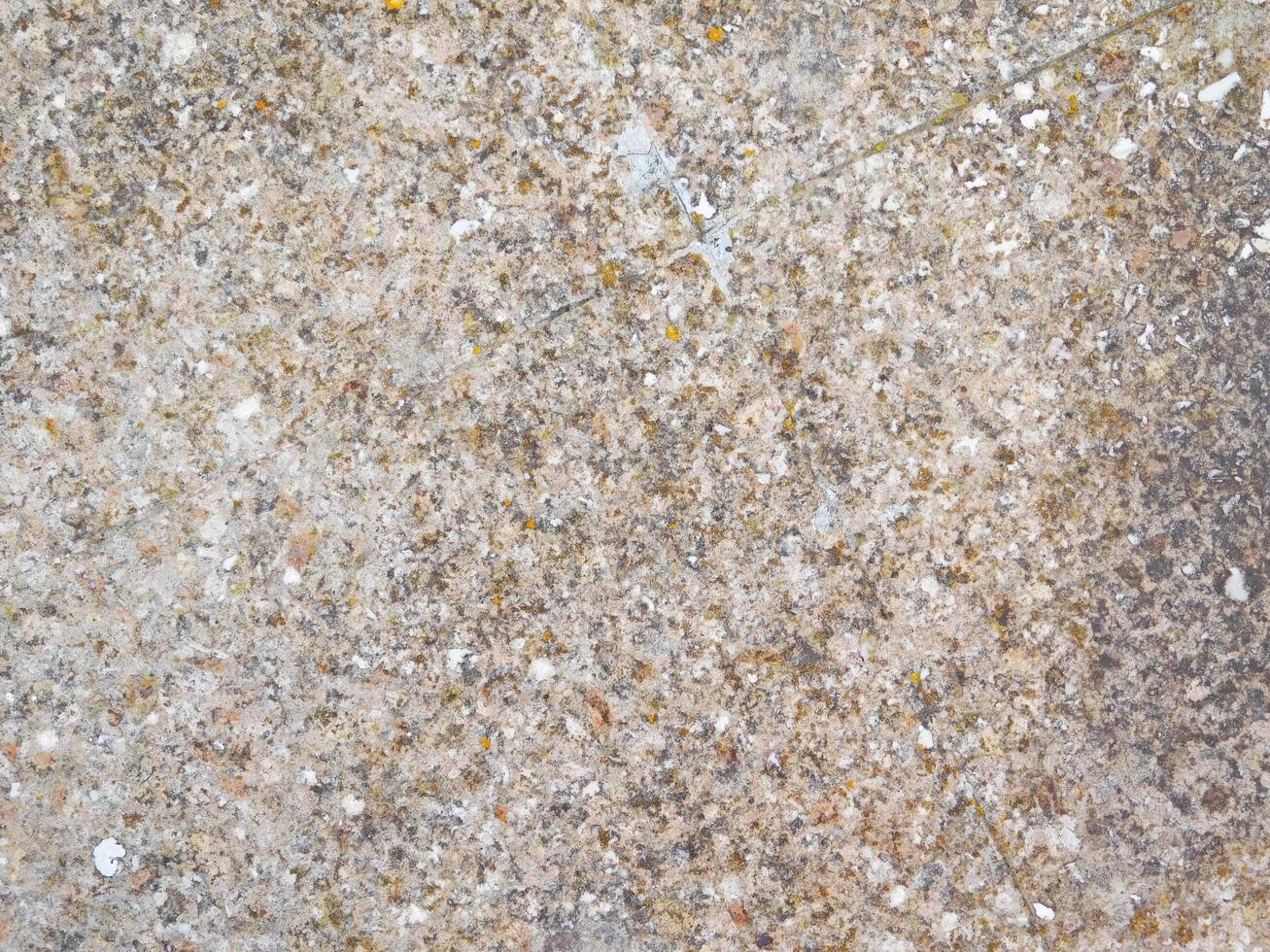 Stone Texture In The Garden photo