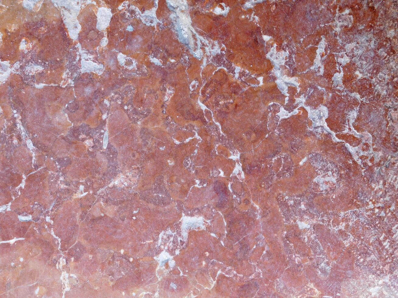 Marble Texture In The Garden photo