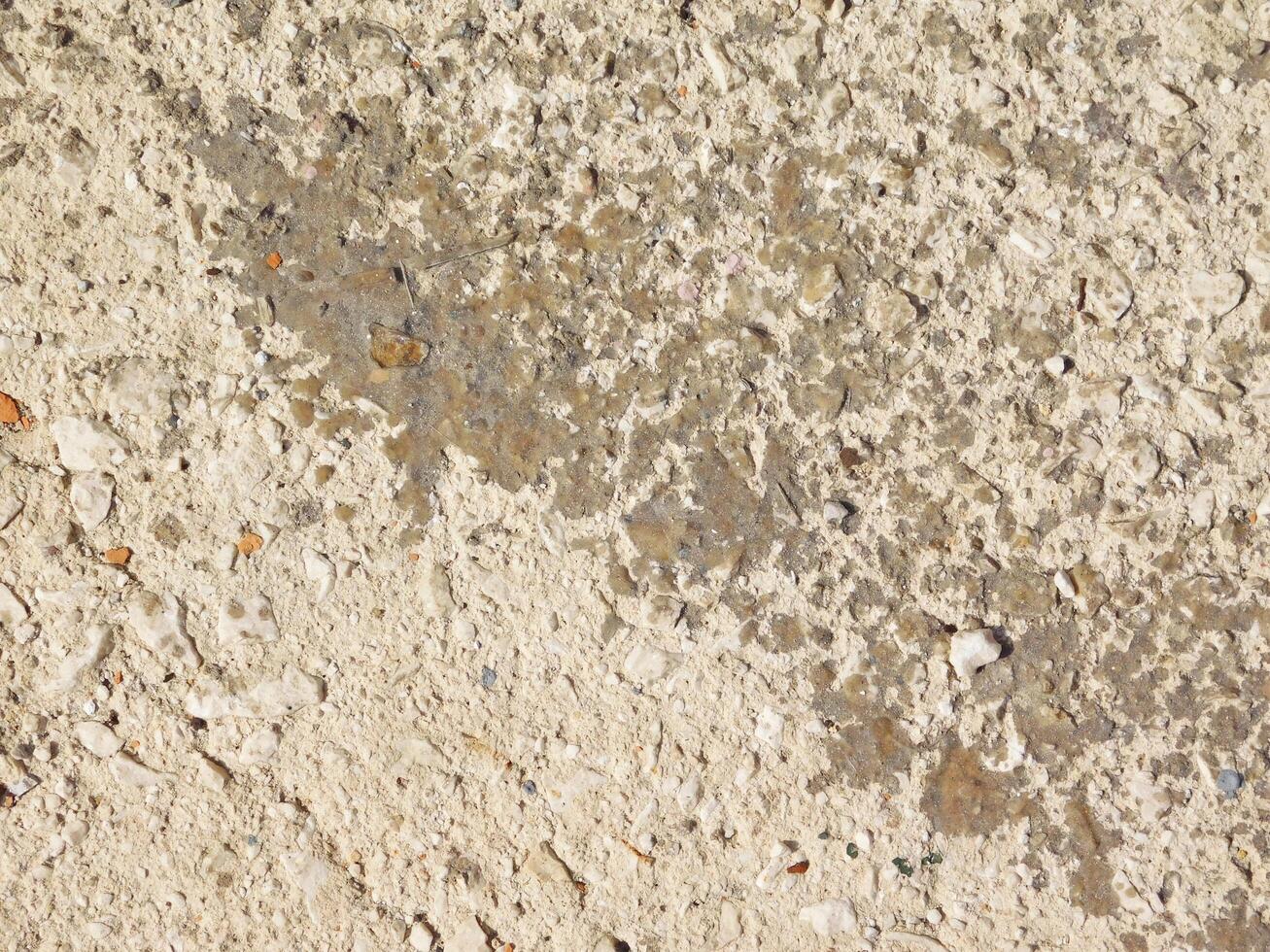Stone Texture In The Garden photo