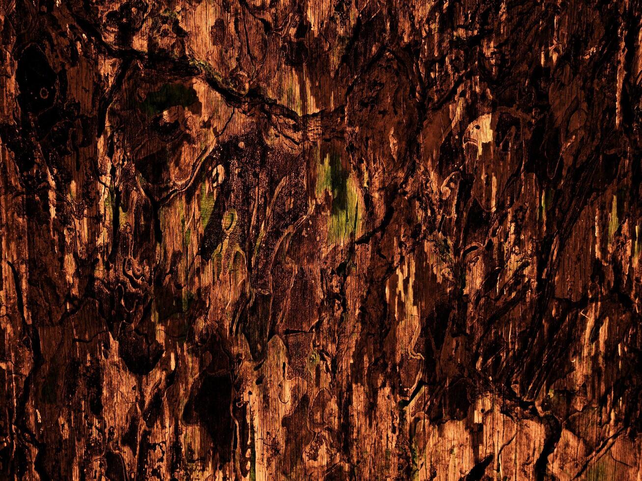 Dark Brown Wood Texture photo