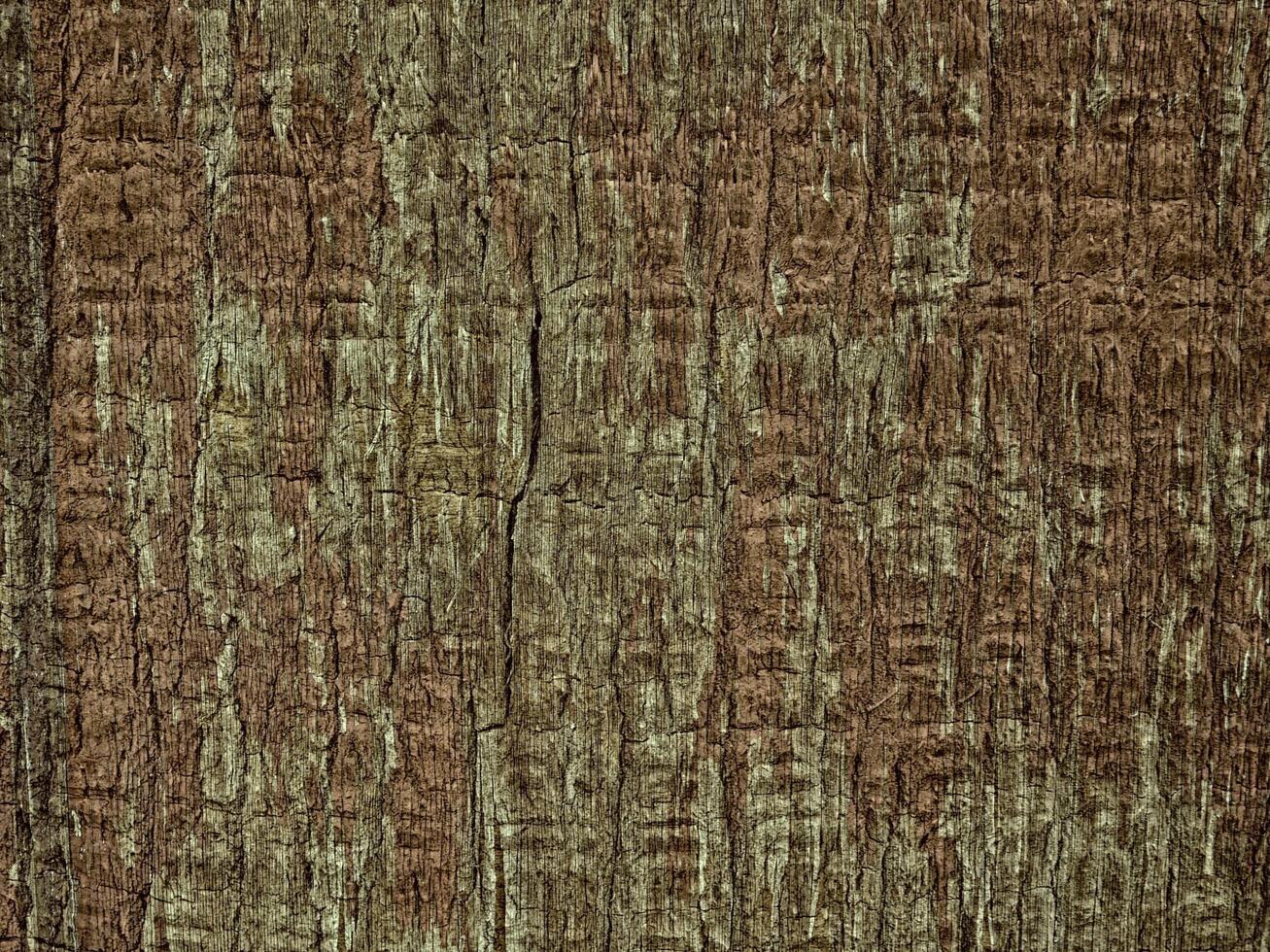 Brown Wood Texture photo