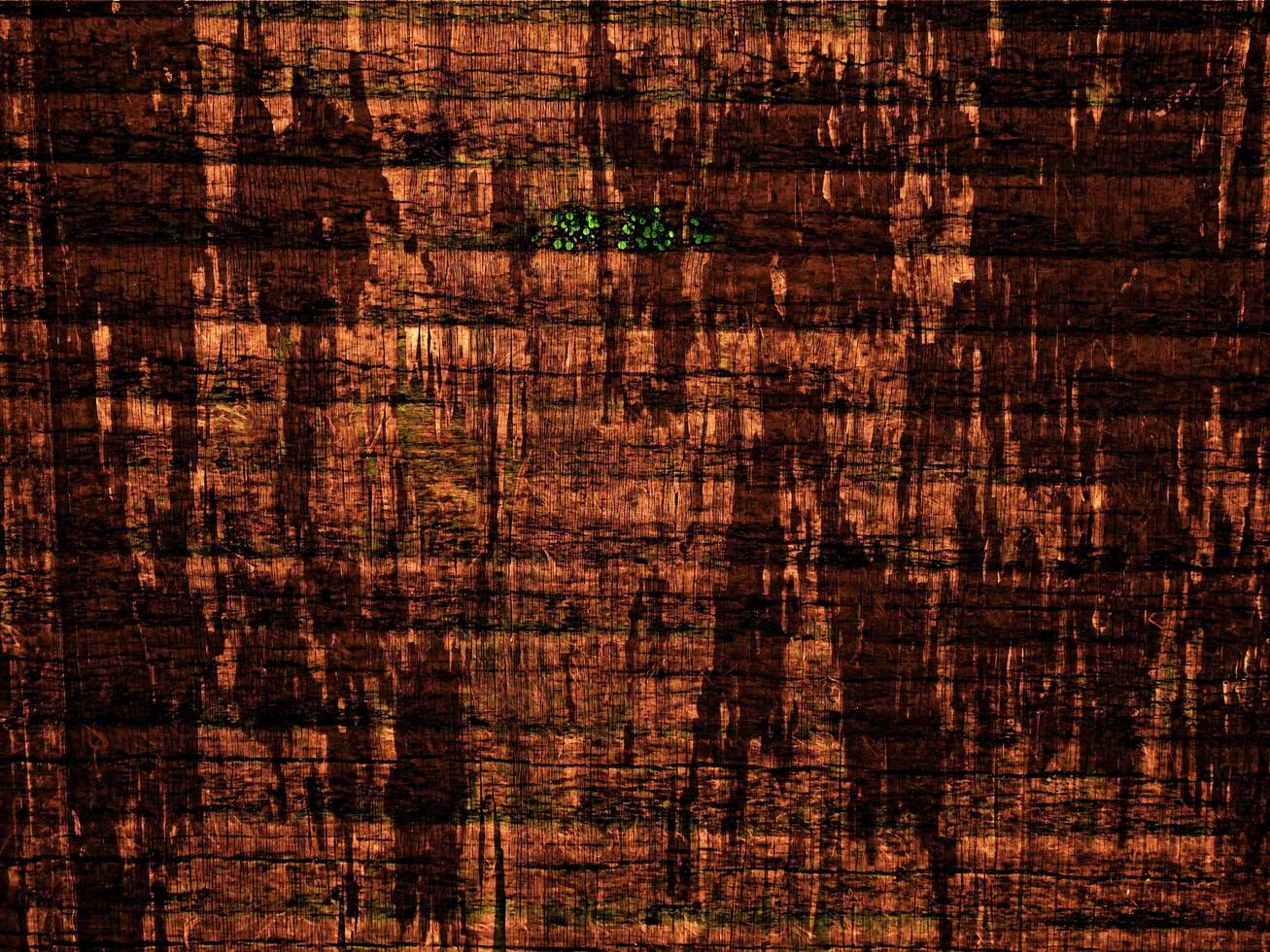 Dark Brown Wood Texture photo