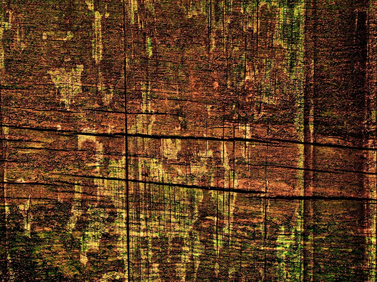 Dark Brown Wood Texture photo