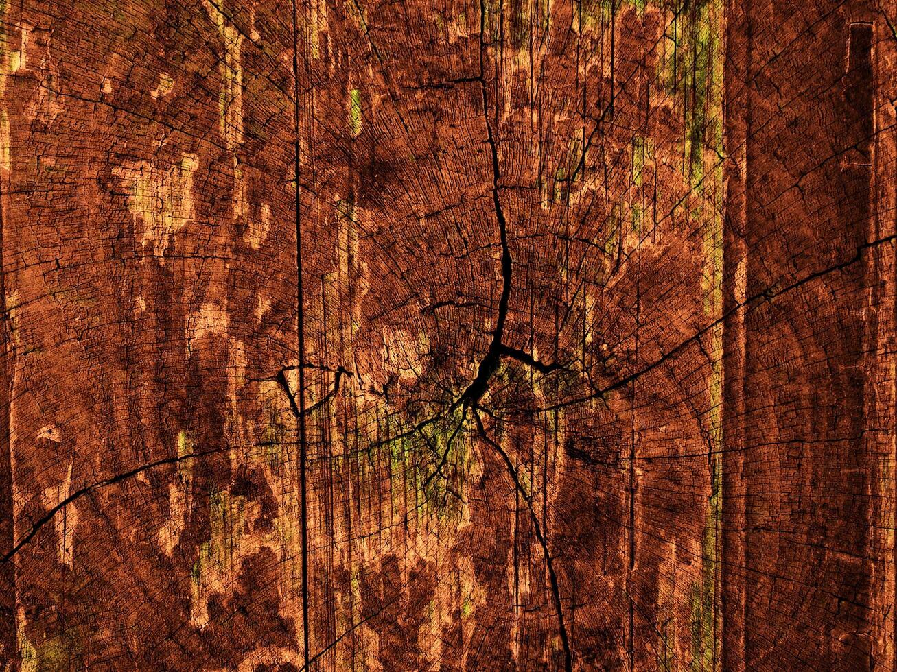 Dark Brown Wood Texture photo