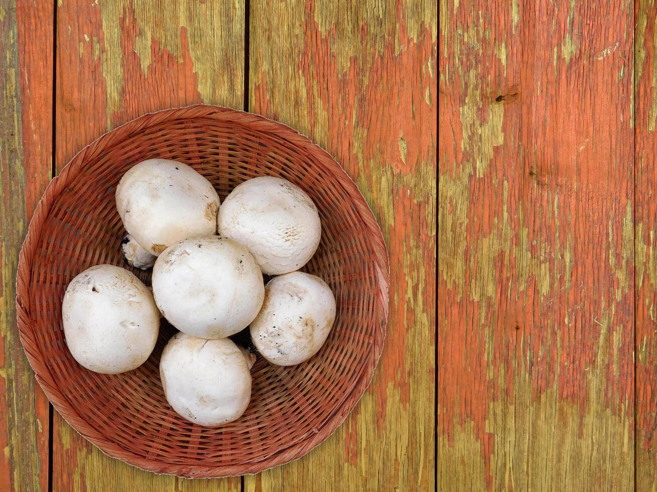 Mushrooms On The Wooden Background photo