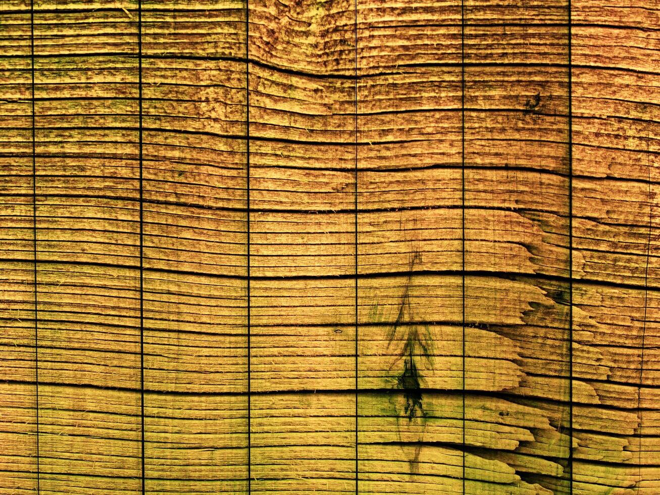 Dark Brown Wood Texture photo