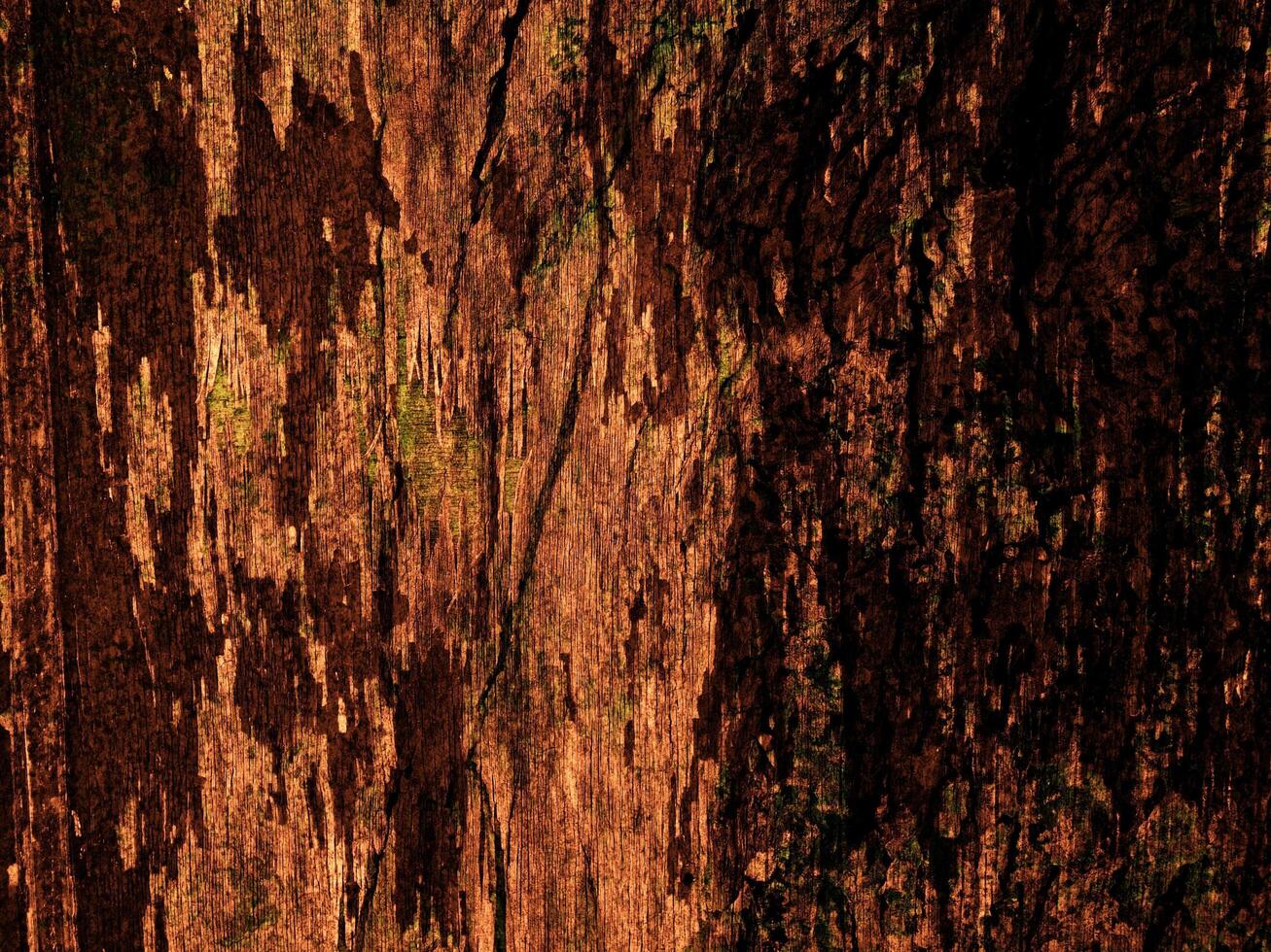 Dark Brown Wood Texture photo