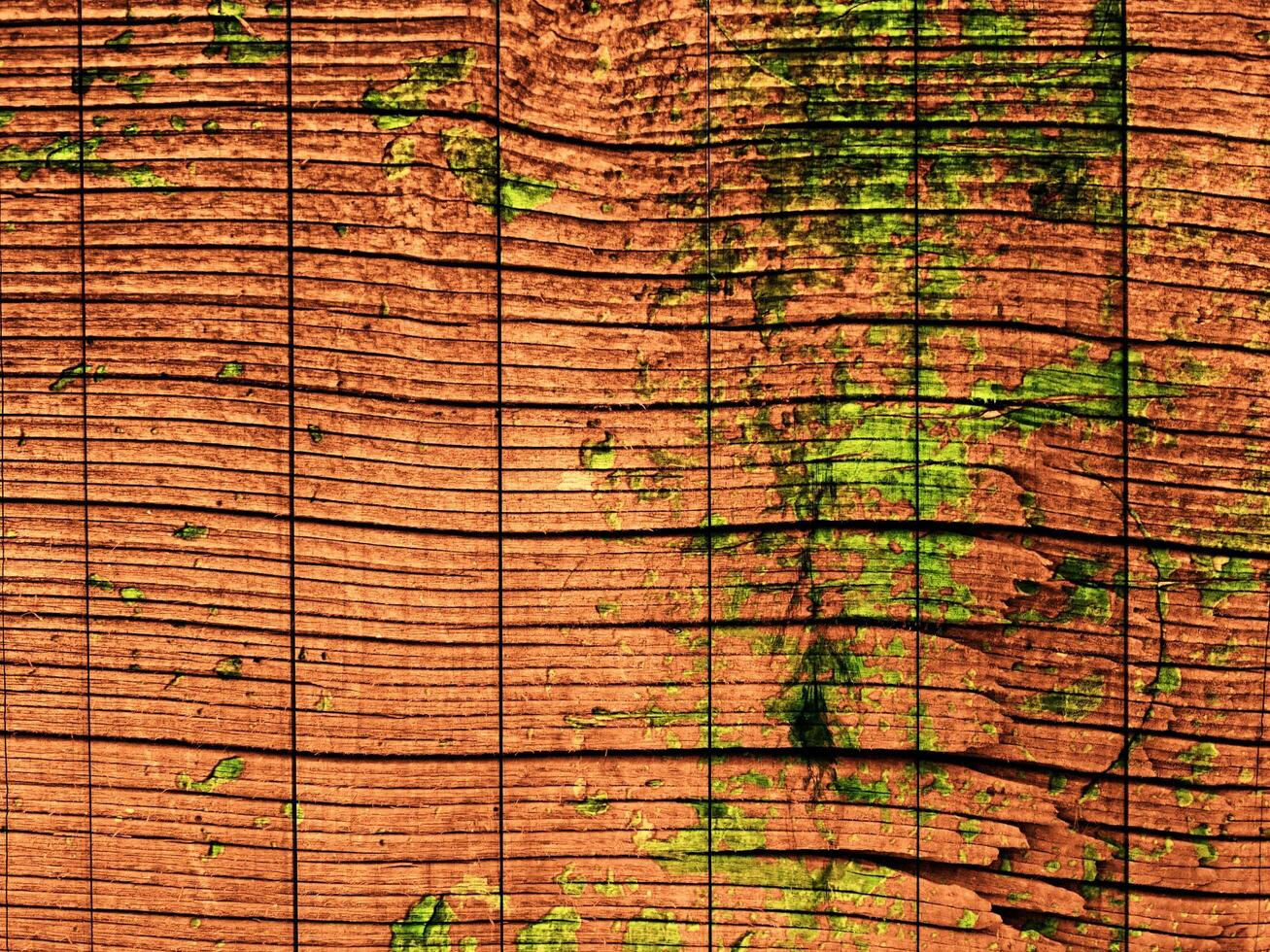 Dark Brown Wood Texture photo