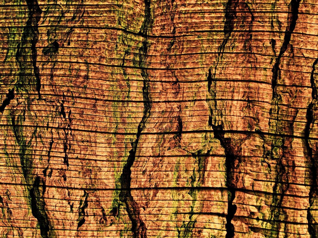 Dark Brown Wood Texture photo