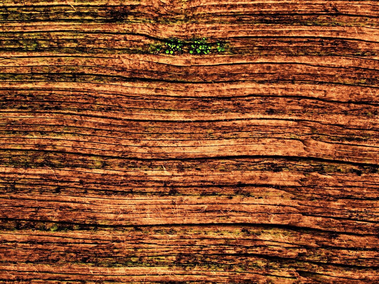 Dark Brown Wood Texture photo