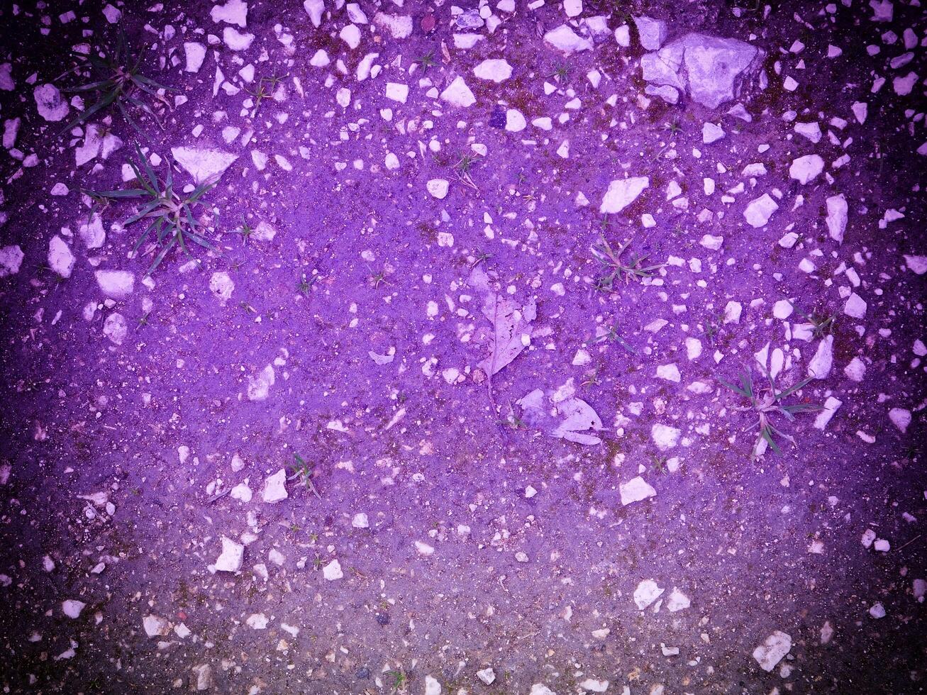 Texture Of Blue Stone In The Garden photo