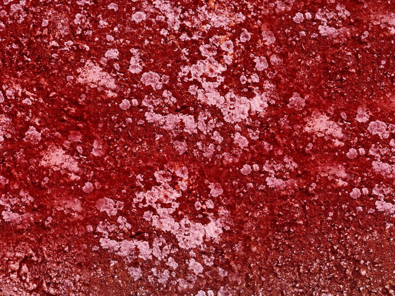 Texture Of Red Stone In The Garden photo