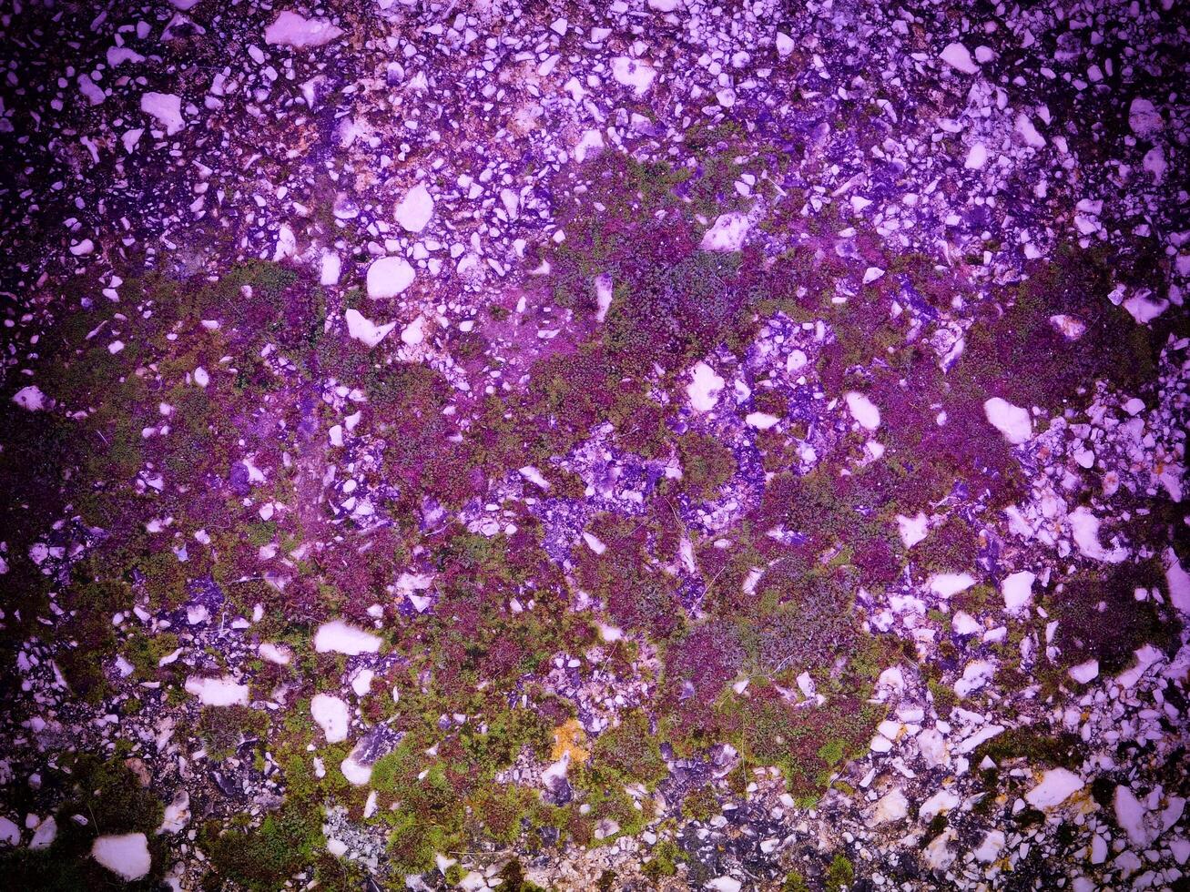 Texture Of Blue Stone In The Garden photo