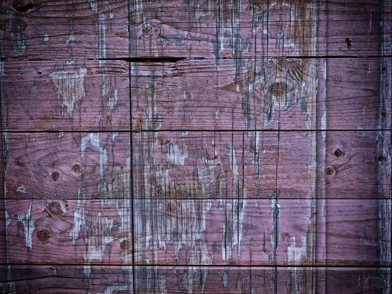 Dark Wood Texture In The Garden photo