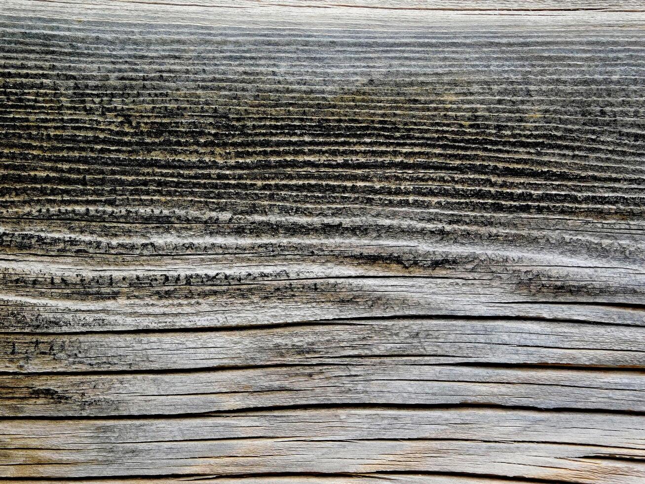 Dark Wood Texture photo