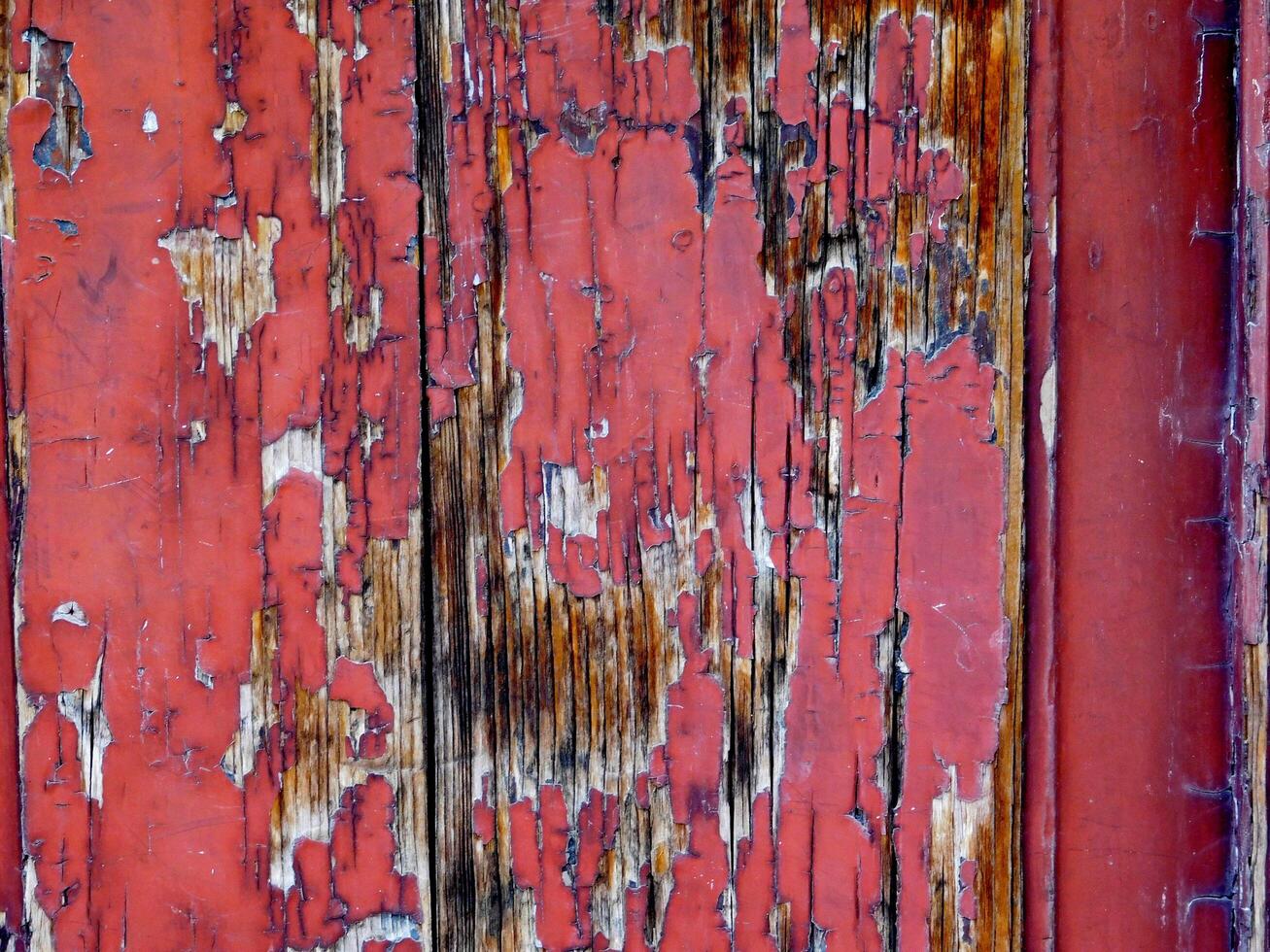 Dark Wood Texture photo