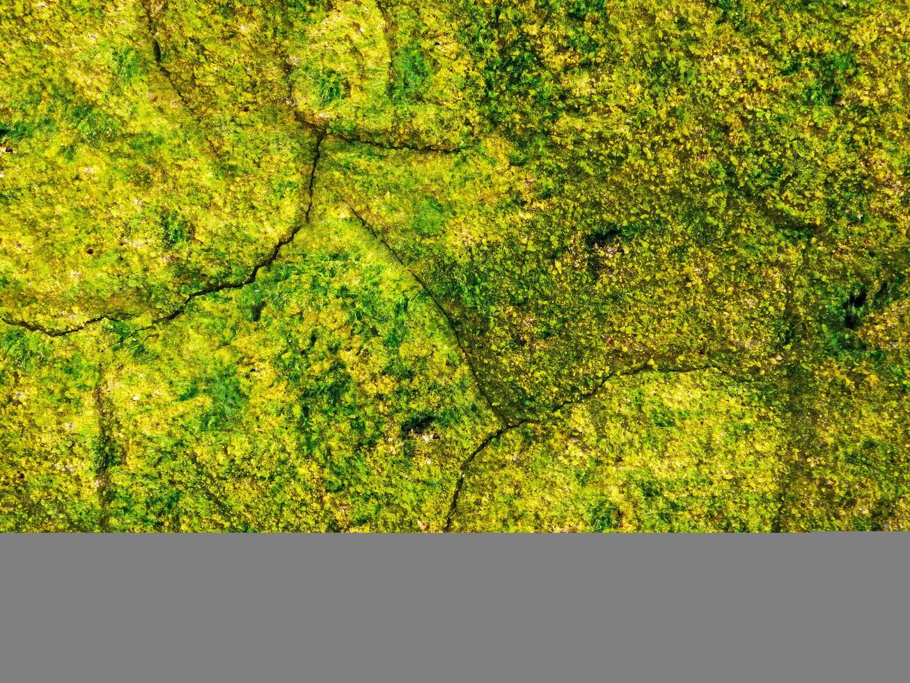 Green Stone Texture photo