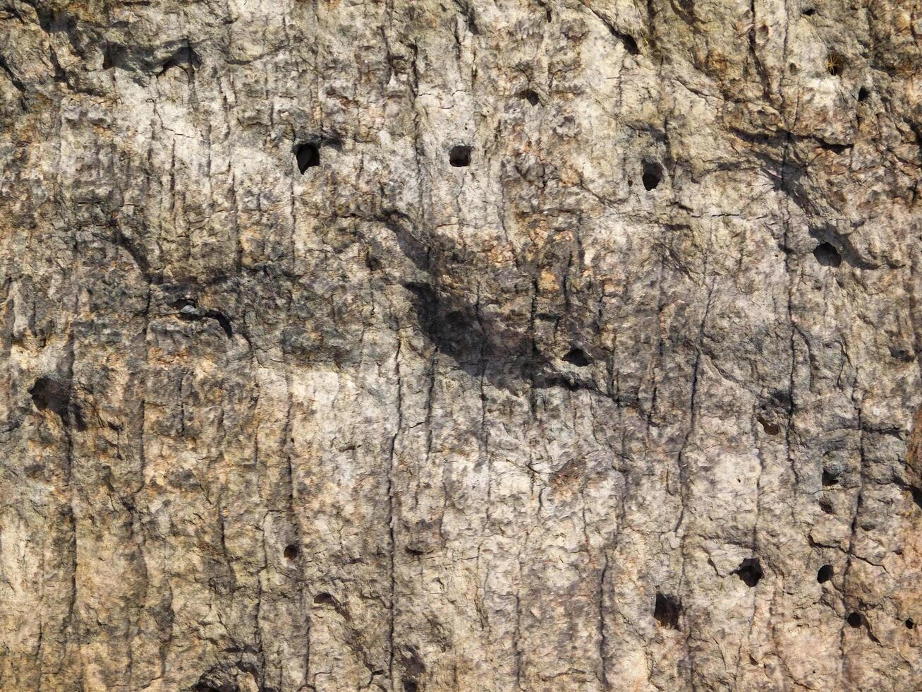 Outdoor stone texture photo