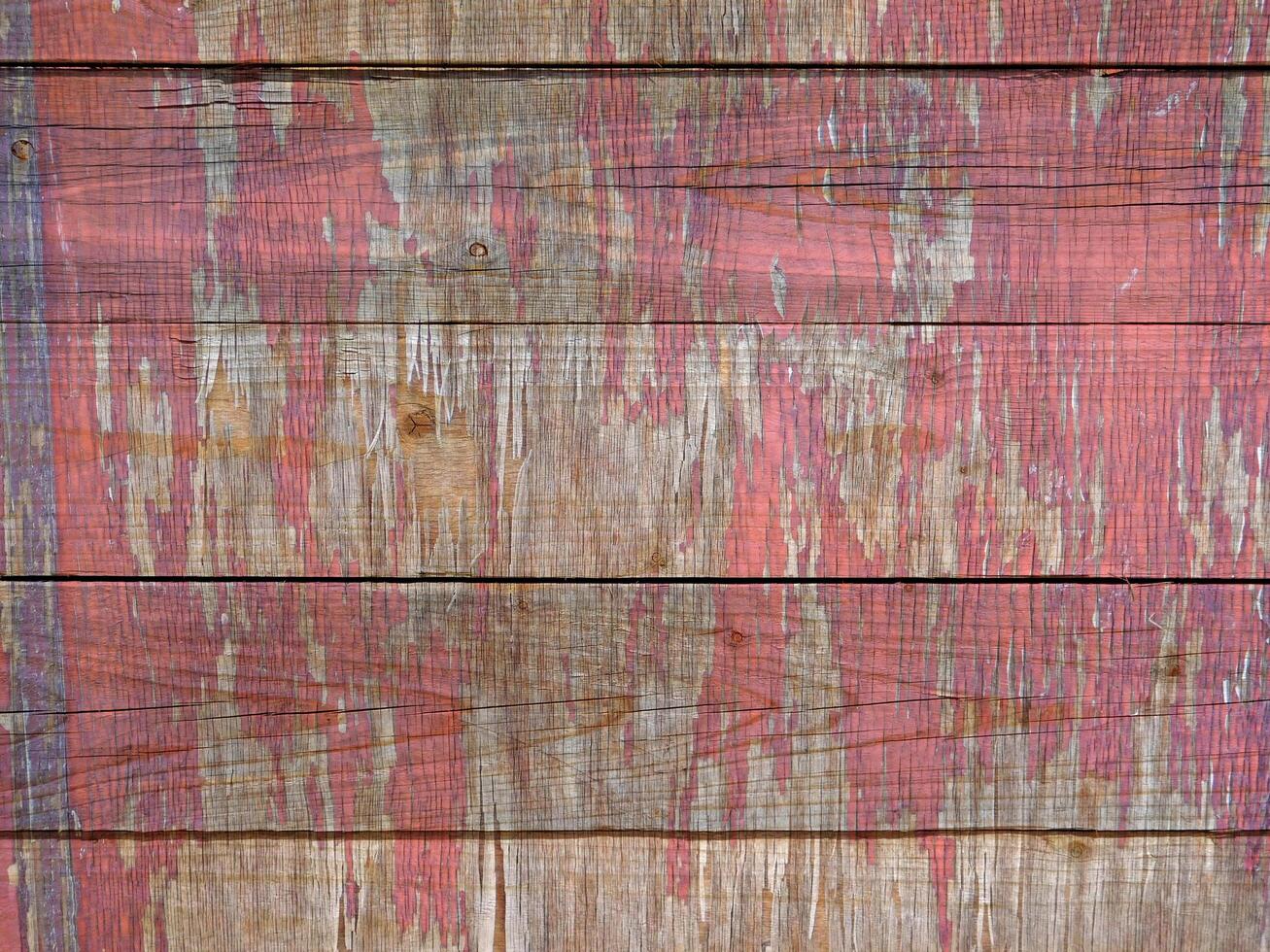 Wood Texture Outdoors In The Garden photo
